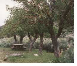 Strozzi's Ranch, Death Valley N.P.