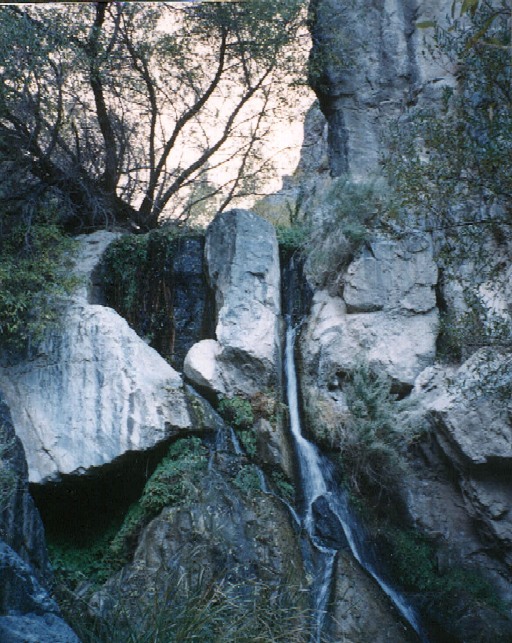 Darwin Falls, California