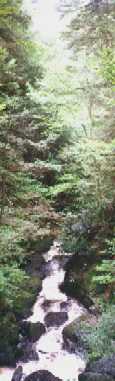 Bushkill Falls, PA