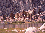 Cottonwood Lakes, Golden Trout Wilderness